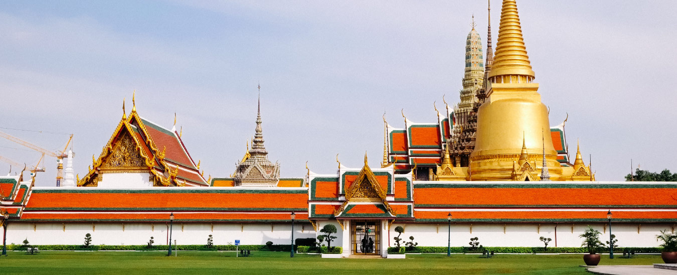 Experience the joy of cooking